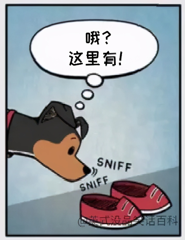 铲屎官和狗子的漫画,铲屎官和狗子们漫画