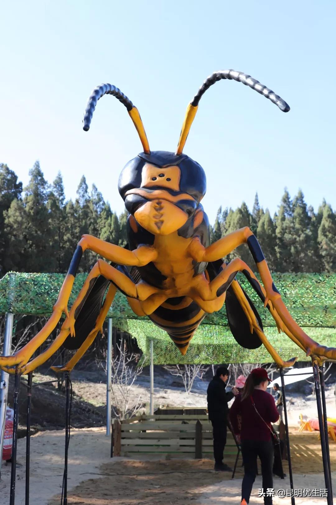 昆明周边亲子游乐场,昆明大型亲子乐园