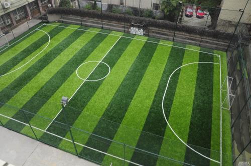 五人制足球德国队对阵波兰,德国足球最新政策