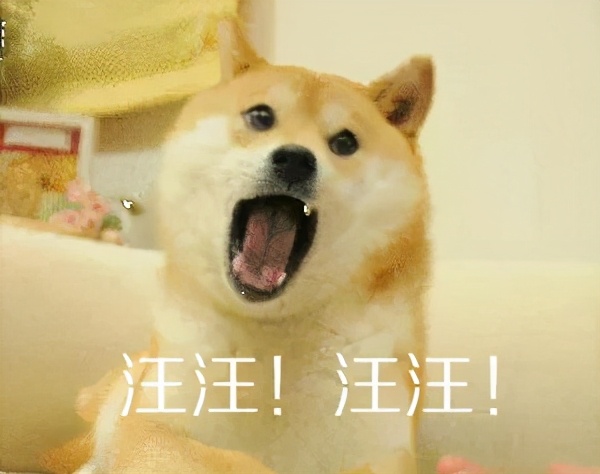 狗言狗语,中国的狗和外国的狗语言一样吗