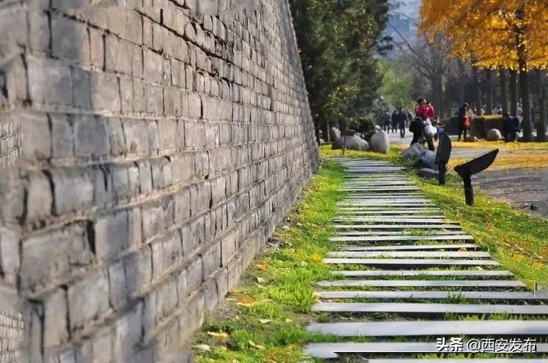 西安赏秋,西安赏秋红叶好去处