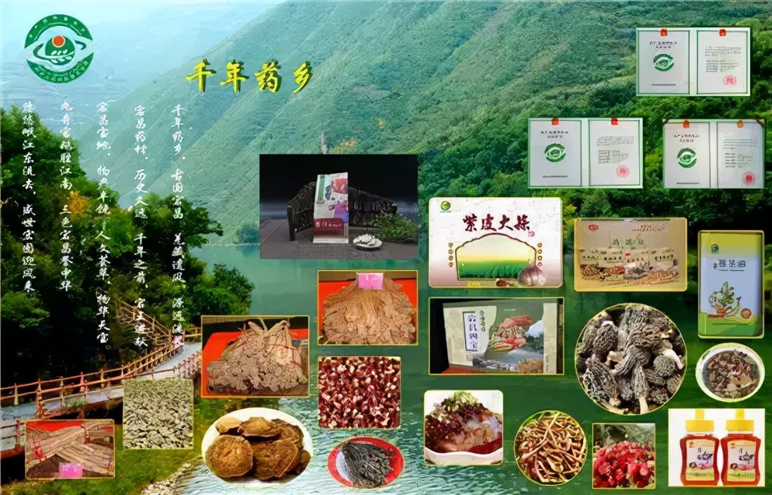 故乡是潮汕片段,故乡是潮汕中文版