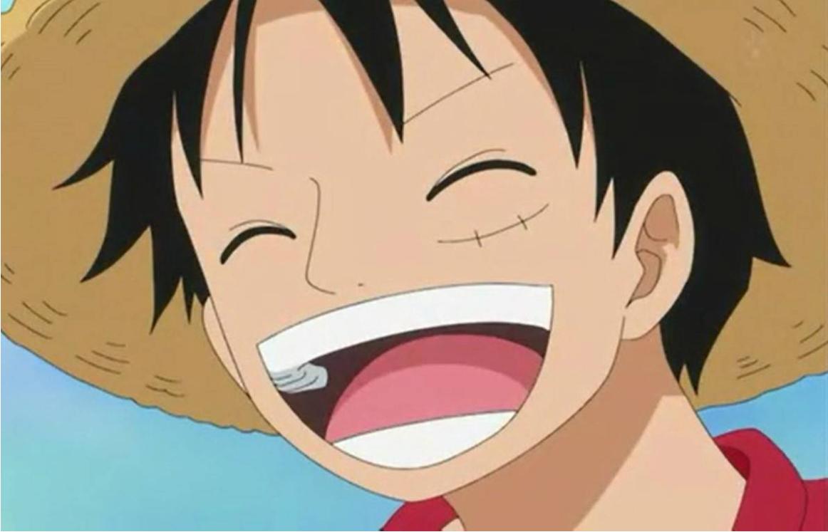 海贼王草帽团所有成员图片,海贼王草帽海贼团十人超高清图片