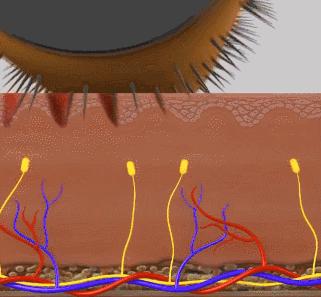 毛孔粗大怎么办超全拯救指南来了,毛孔粗大怎么进行日常护理改善
