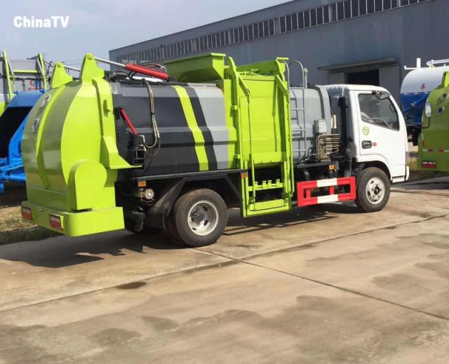 蟑螂大王每天处理50吨垃圾,3亿只蟑螂每天处理近15吨厨余垃圾