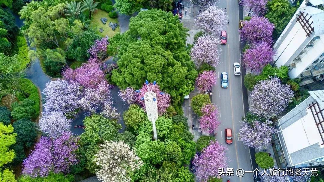 广西哪些城市是靠一碗粉火起来的,凭一碗螺蛳粉征服世界