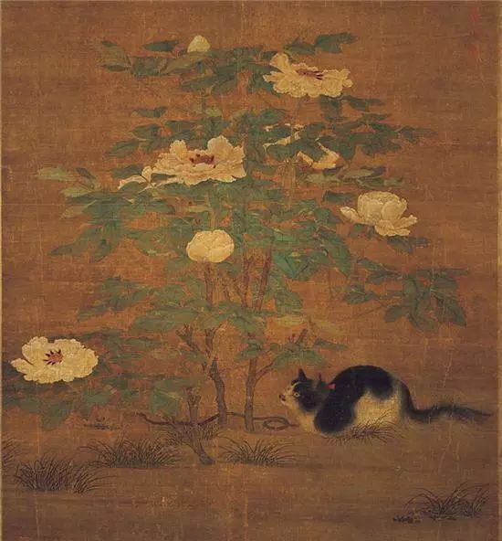 为什么猫怕水却爱吃鱼呢,猫怕水但是为什么爱吃鱼