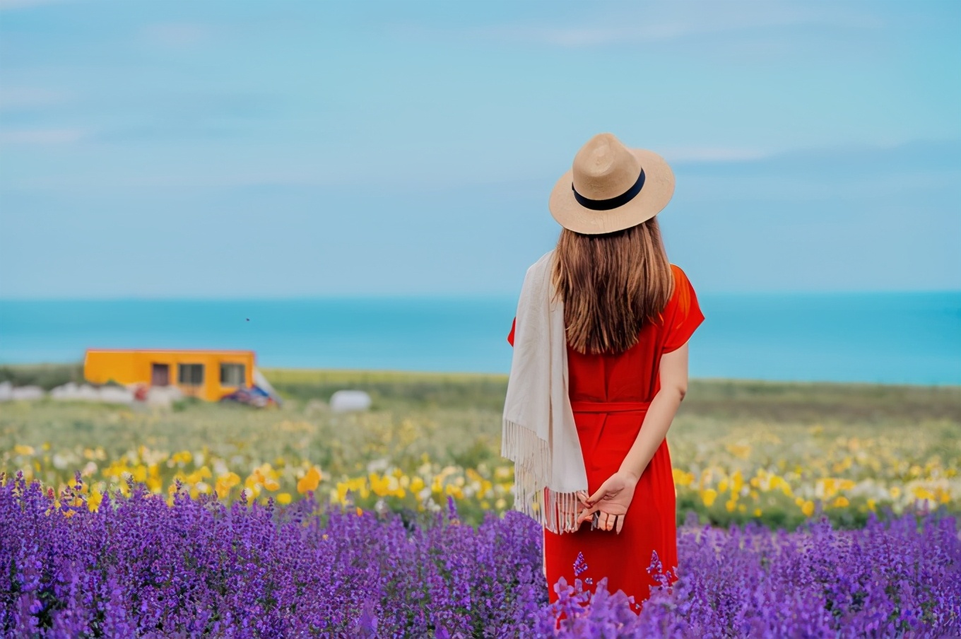 七八月份青海湖旅游攻略图集大全,青海湖7月攻略