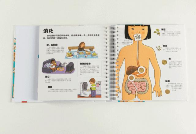 “大人那里为什么会长毛？”孩子这种尴尬的问题该怎么回答？