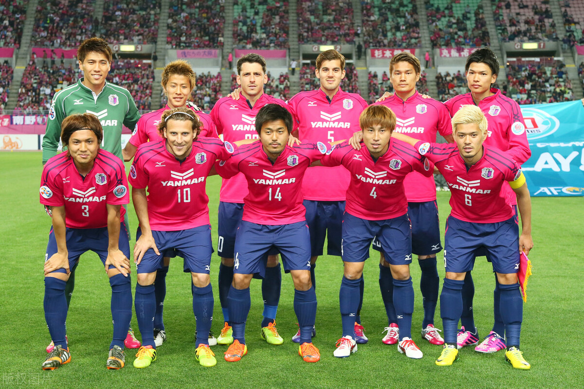 绿茵场上的风景,绿茵场上惊艳的照片