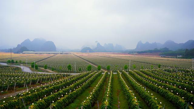 戴珊在阿里巴巴现任职务,阿里巴巴集团合伙人戴珊