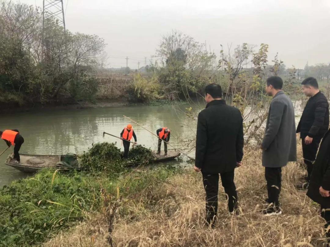 南浔区治水办、水利局开展水葫芦集中打捞行动联合督查