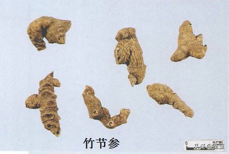 中药材伪品太多，俗有南国神草之称的三七，就有十多种假货