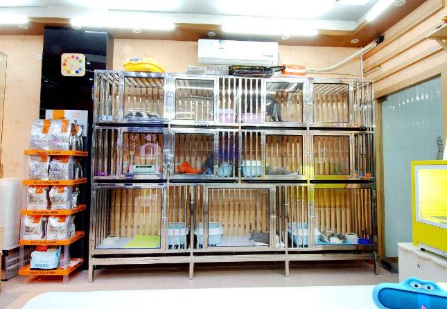 为什么狗狗都害怕进医院,狗狗害怕去宠物店是什么原因