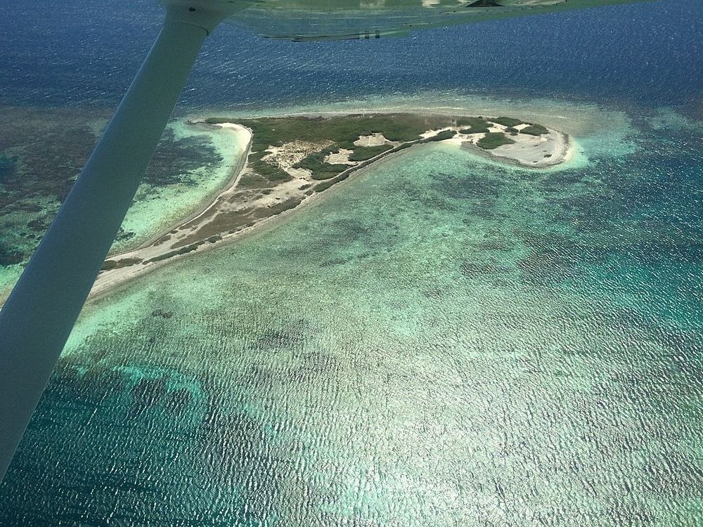 流落荒岛20天有哪些人死了,4人出海遇难视频