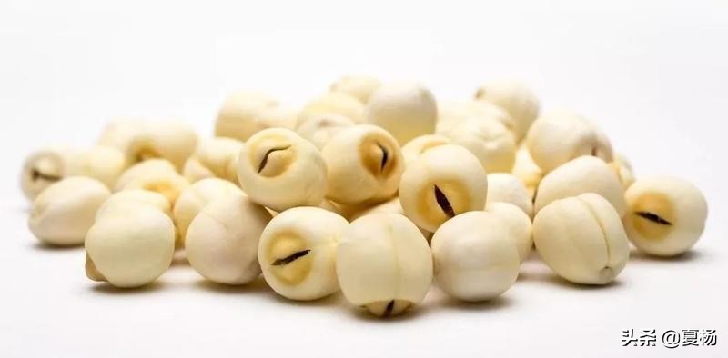 莲子埋入土里多久还可以发芽,莲子埋在泥里会发芽吗