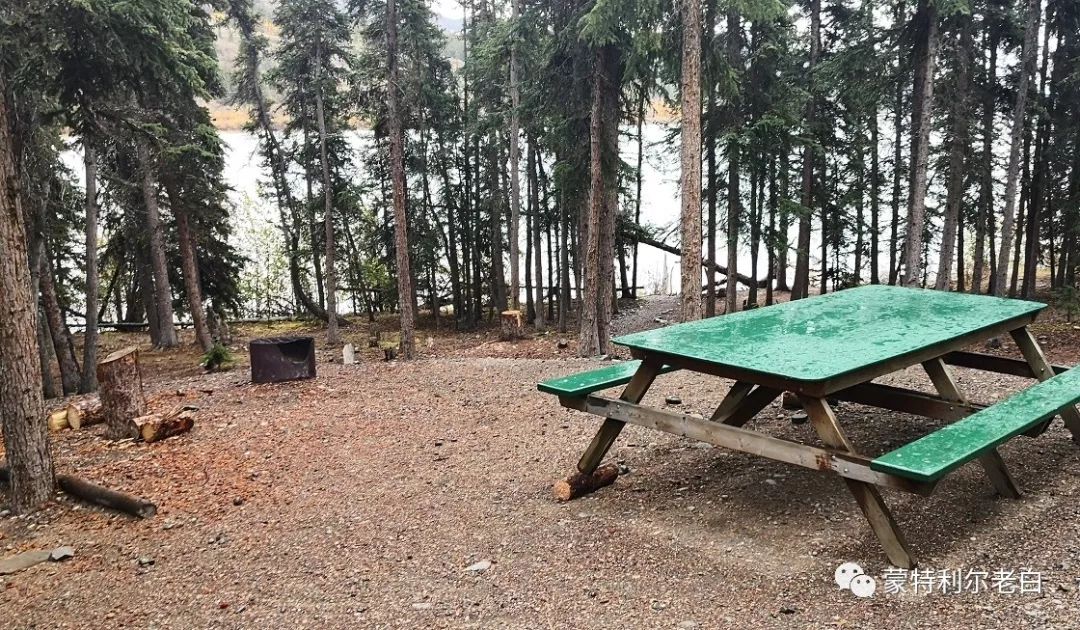 跟着老白行走加拿大，育空Watson Lake、BC省Northern Rockies