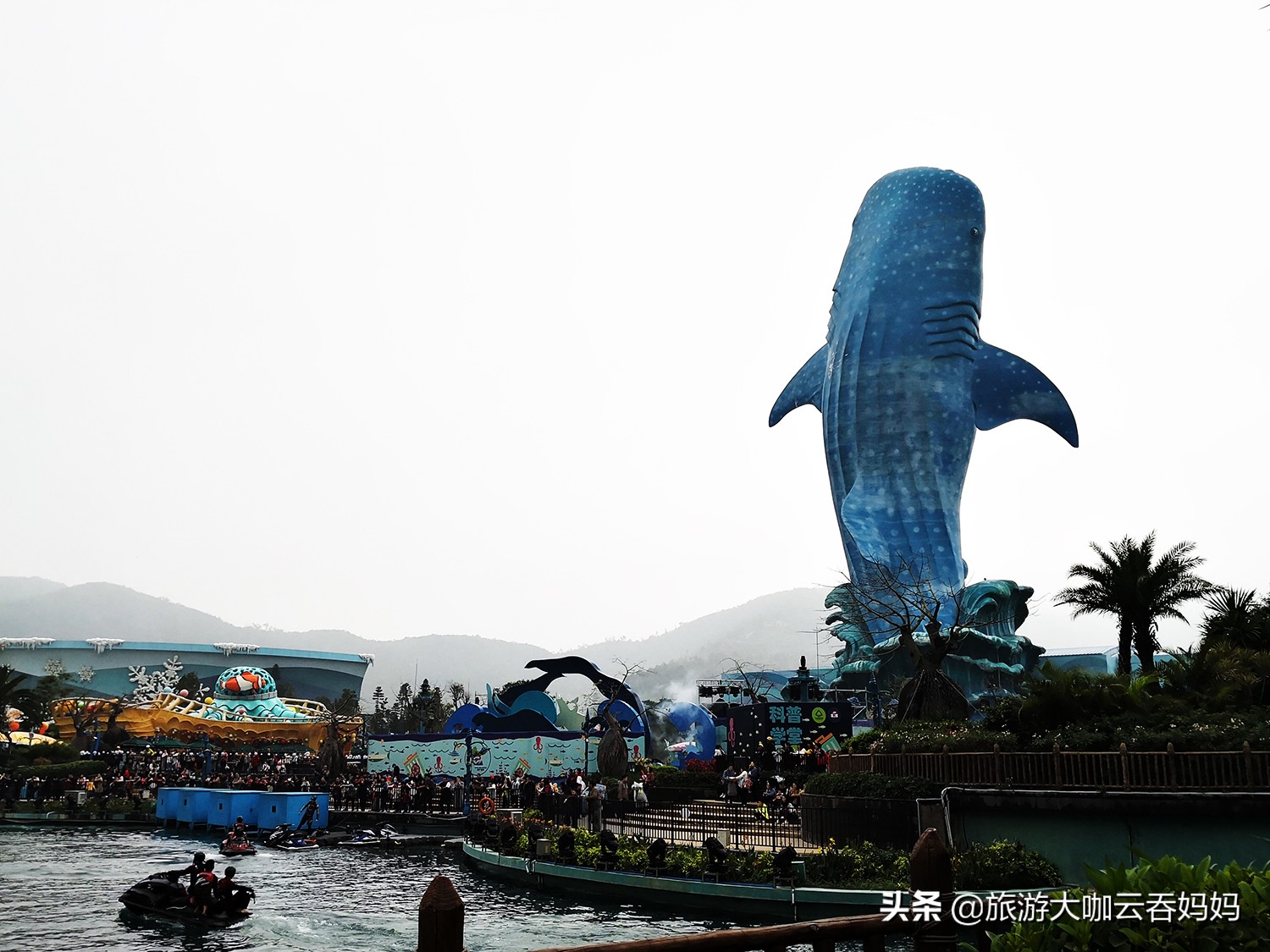 珠海长隆看动物攻略,广州长隆野生动物世界看狮子