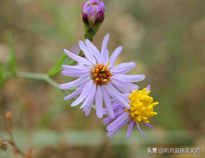 一根烟一杯酒一转身一辈子,一转身一辈子便是永远