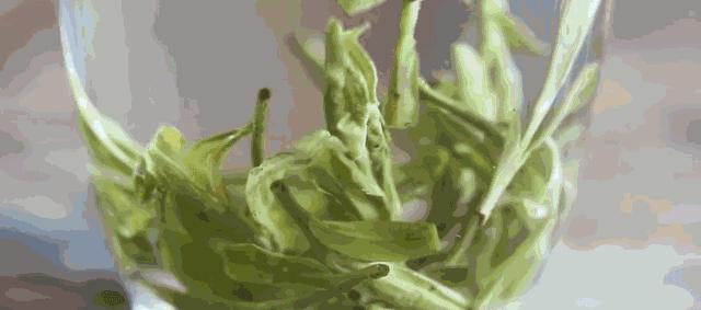 泡茶水温多少度最好红茶,乌龙茶泡茶水温最好是多少度