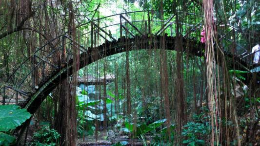 深圳游玩景点推荐青青世界,深圳好玩的青青世界