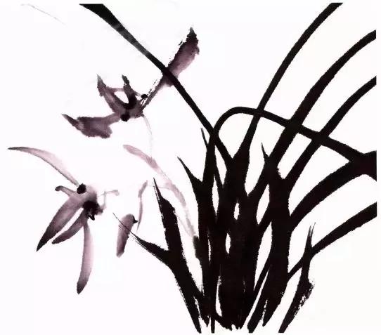 兰花绘画技法教程视频,泰国兰花绘画技法