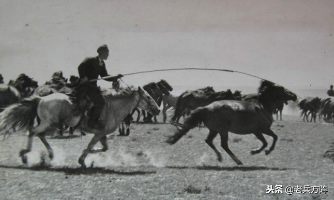 五十年代至七十年代人民公社,6070年代人民公社