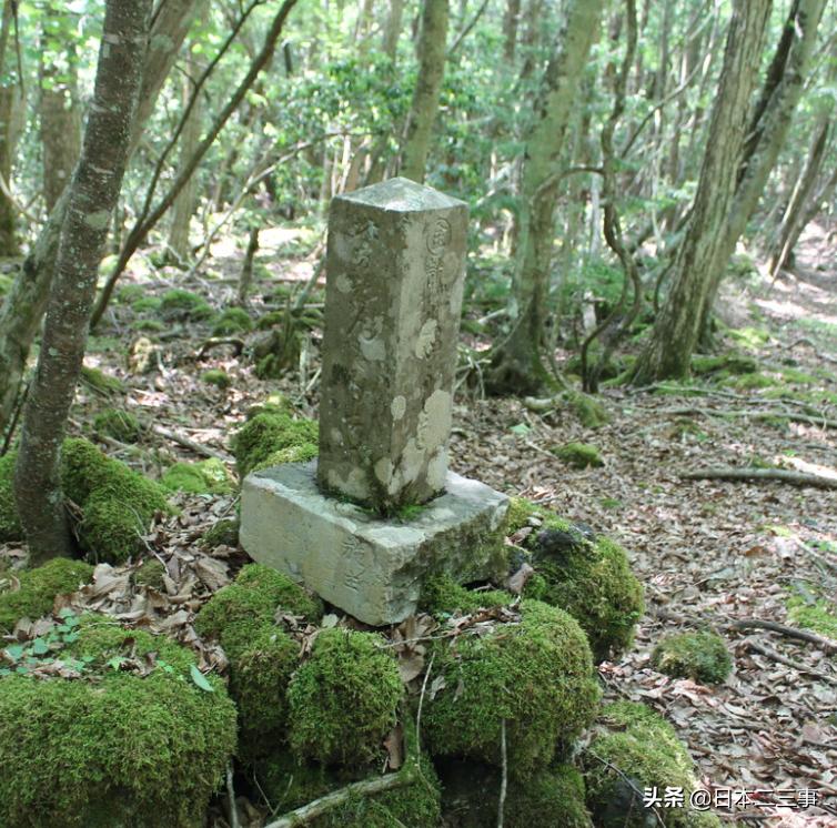 中国人不能去日本的哪些地方,到日本旅游去哪个城市最好