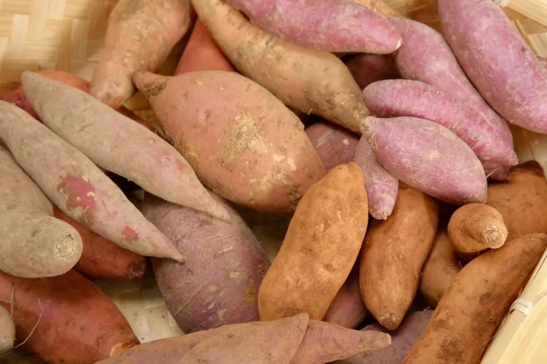 盒马大赛,盒马挑战赛