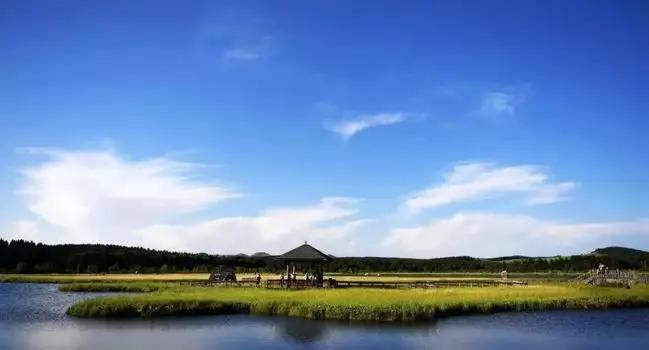 钟正生再论制造业复苏,钟正生谈中国经济