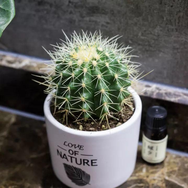 高空自习室深圳,深圳高空自习室