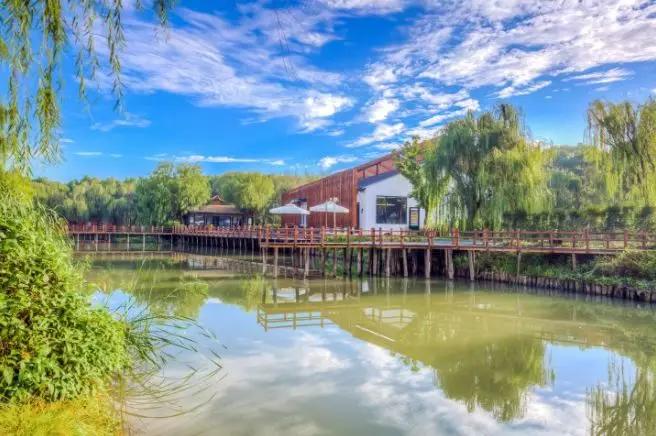 苏州网红ins风民宿大赏,苏州古镇田园风景民宿