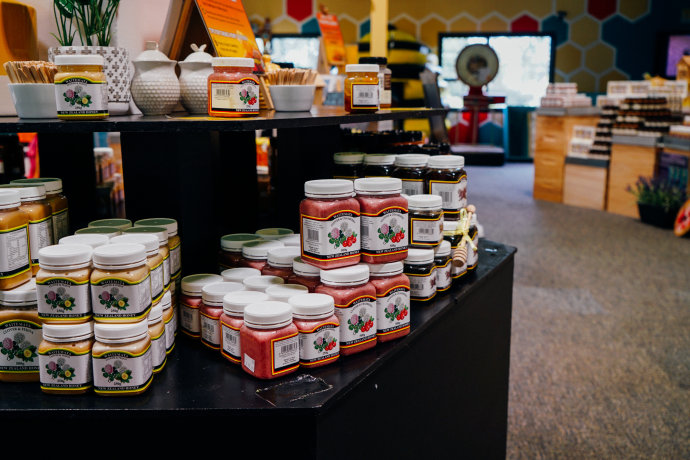 新西兰｜在首屈一指的滑雪胜地，与黑天鹅一起戏水