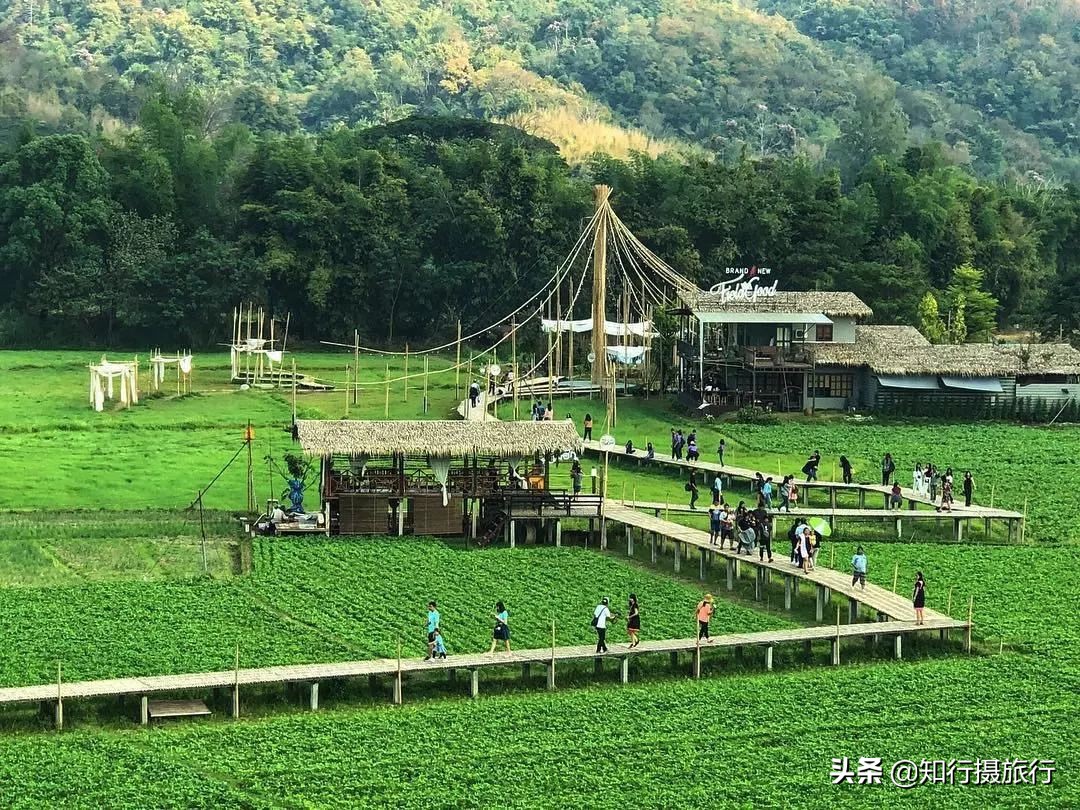 清迈一定要去的咖啡店,打卡泰国清迈6家瀑布咖啡馆