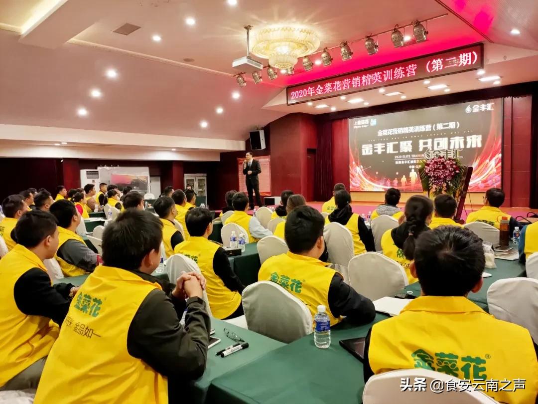 金丰汇聚，共创未来——2020“金菜花”营销精英训练营（第二期）圆满闭营