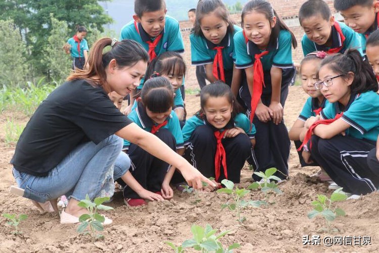 延安甘泉：播种绿色希望，收获金色成长——记甘泉县第三小学综合实践活动