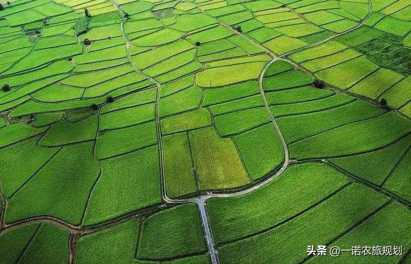 申报生态农业扶持项目标准,农业项目补贴政策申报代理