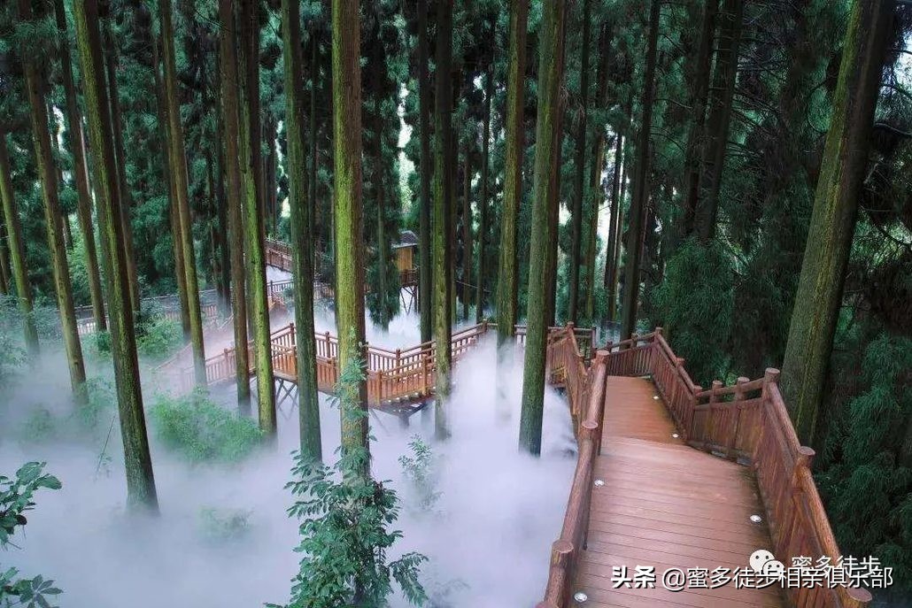 成都周边小众景点,四川峨眉山七里坪美景