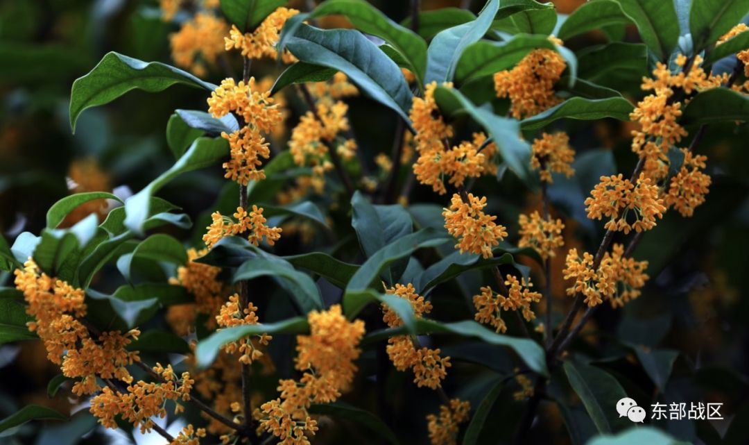 一封催人泪下的家书手写,一封家书感人完整版