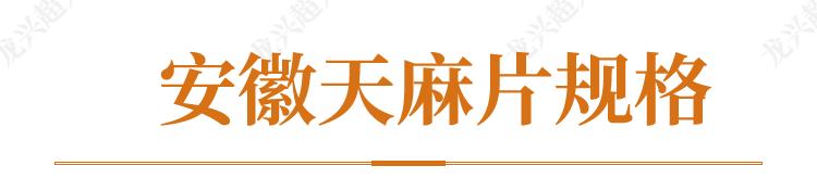 达州道地药材天麻,正宗中药材天麻