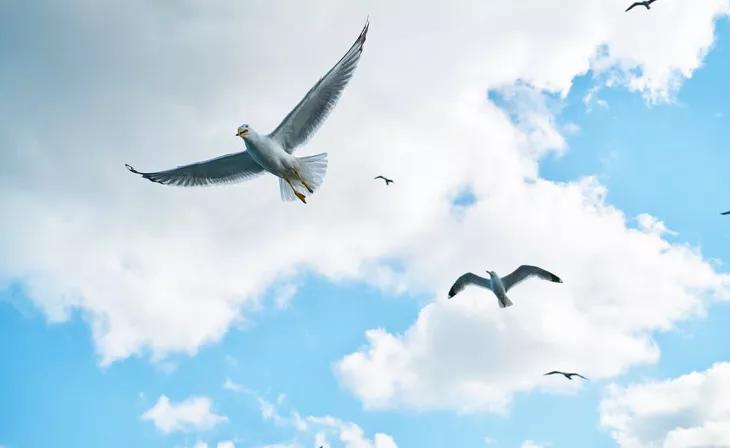 如果总是无法静心该怎么办,放下执念静心无念