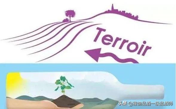真正好葡萄酒多少度,顶级葡萄酒怎么鉴别好坏