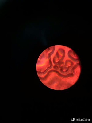 可看细胞显微镜开箱,买哪个便携式显微镜可看细胞