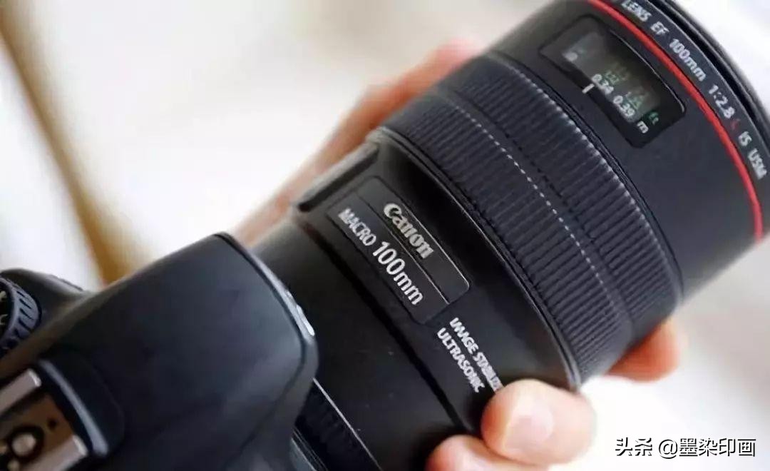 微距拍摄技巧与方法,如何拍摄清晰锐利的微距照片呢