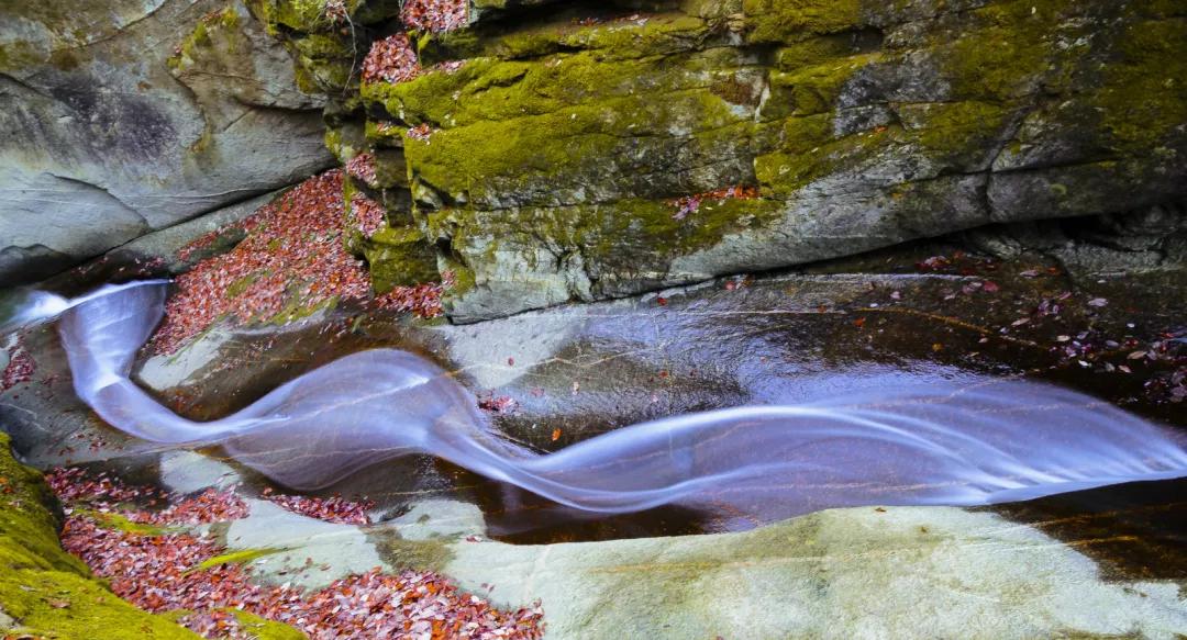 陕西汉中黎坪森林公园红叶,陕西人赏红叶好去处