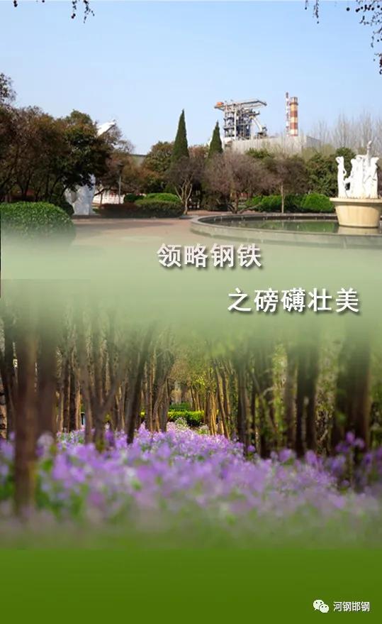 娌抽挗閭挗閾佽矾,娌抽挗閭挗楂樼倝