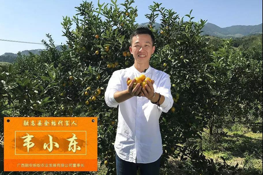 90后种植一水果年赚2000万,广西90后小伙回乡创业开农场