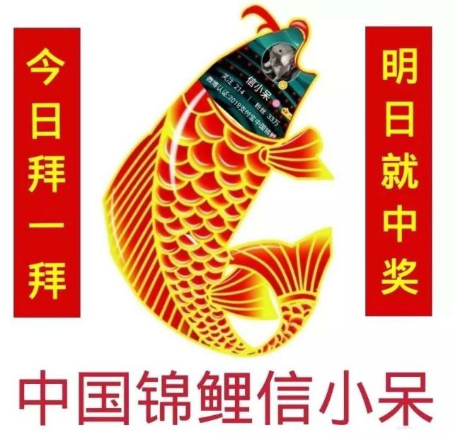 济南2018年度热词出炉？锦鲤Pick一下上榜？隐形贫困人口排第几？