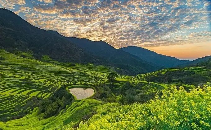 婺源旅游全攻略自由行,婺源旅游攻略一日游自由行