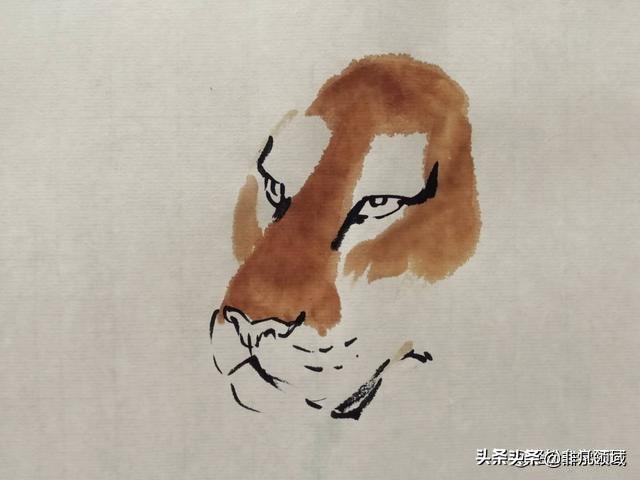国画老虎画法步骤图,国画老虎画法步骤图解